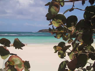 Reef in front of Flamenco Beach
